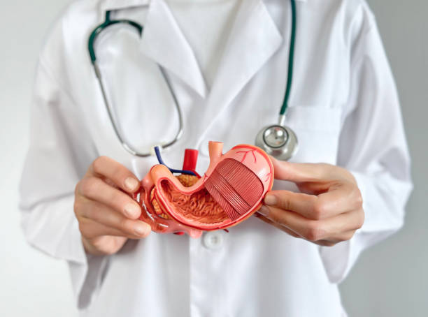 Gastroenterology Range